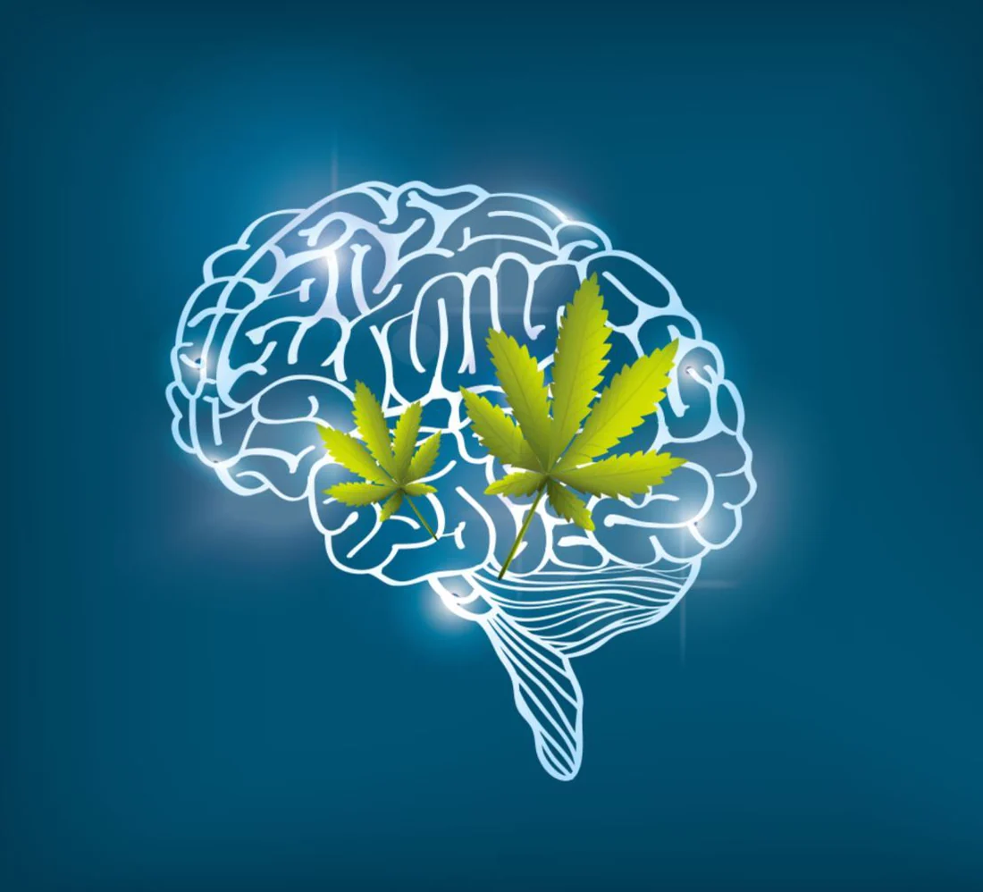Does THC Increase Dopamine? THC, THC and dopamine release, the role of dopamine